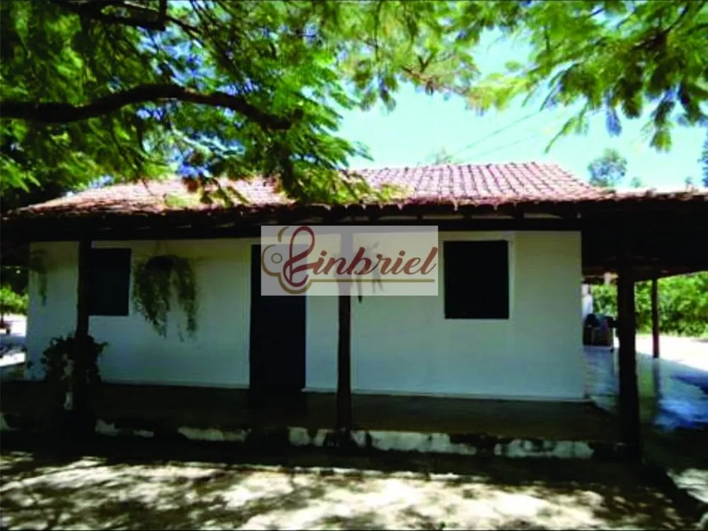 Fazenda, 1350 hectares - Foto 10