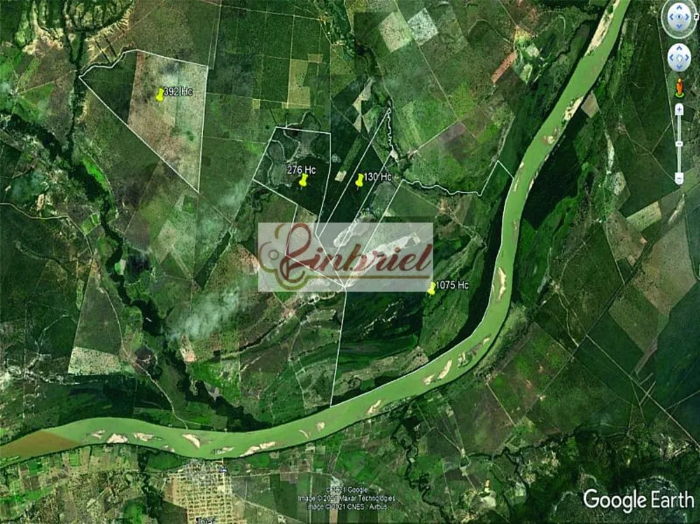 Fazenda, 1350 hectares - Foto 11