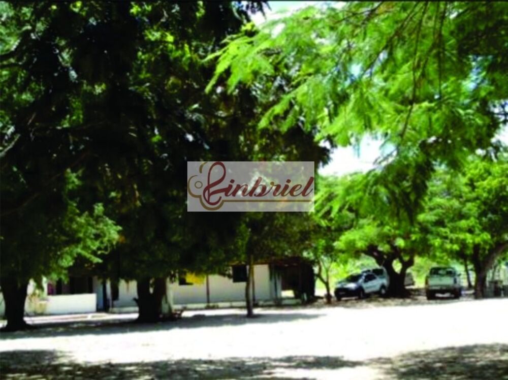 Fazenda, 1350 hectares - Foto 2