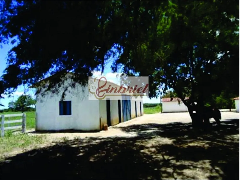 Fazenda, 1350 hectares - Foto 7