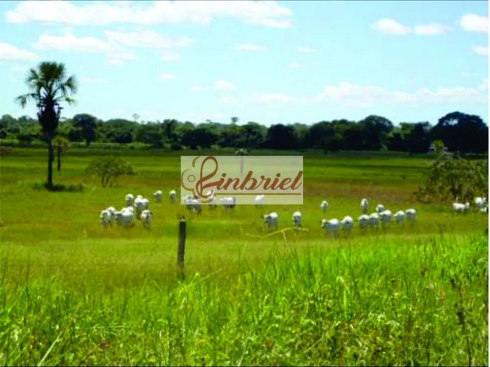 Fazenda, 1350 hectares - Foto 3