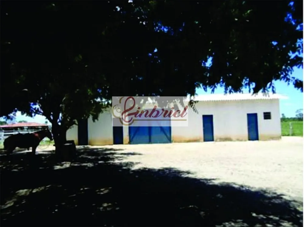 Fazenda, 1350 hectares - Foto 15
