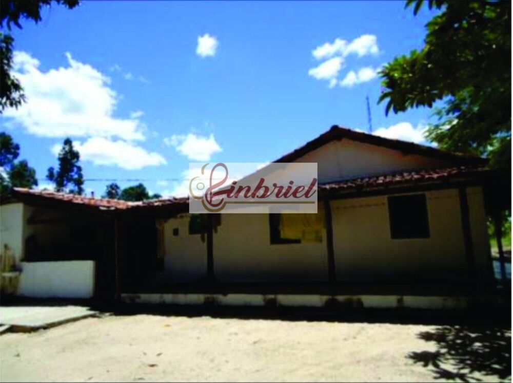 Fazenda, 1350 hectares - Foto 4