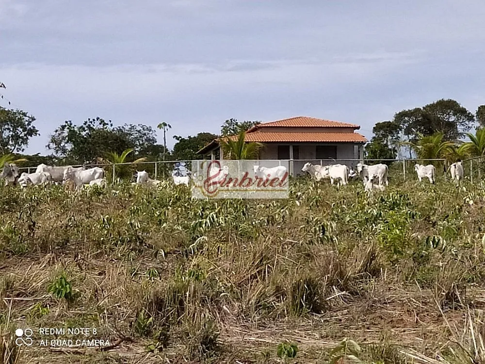 Fazenda, 242 hectares - Foto 2