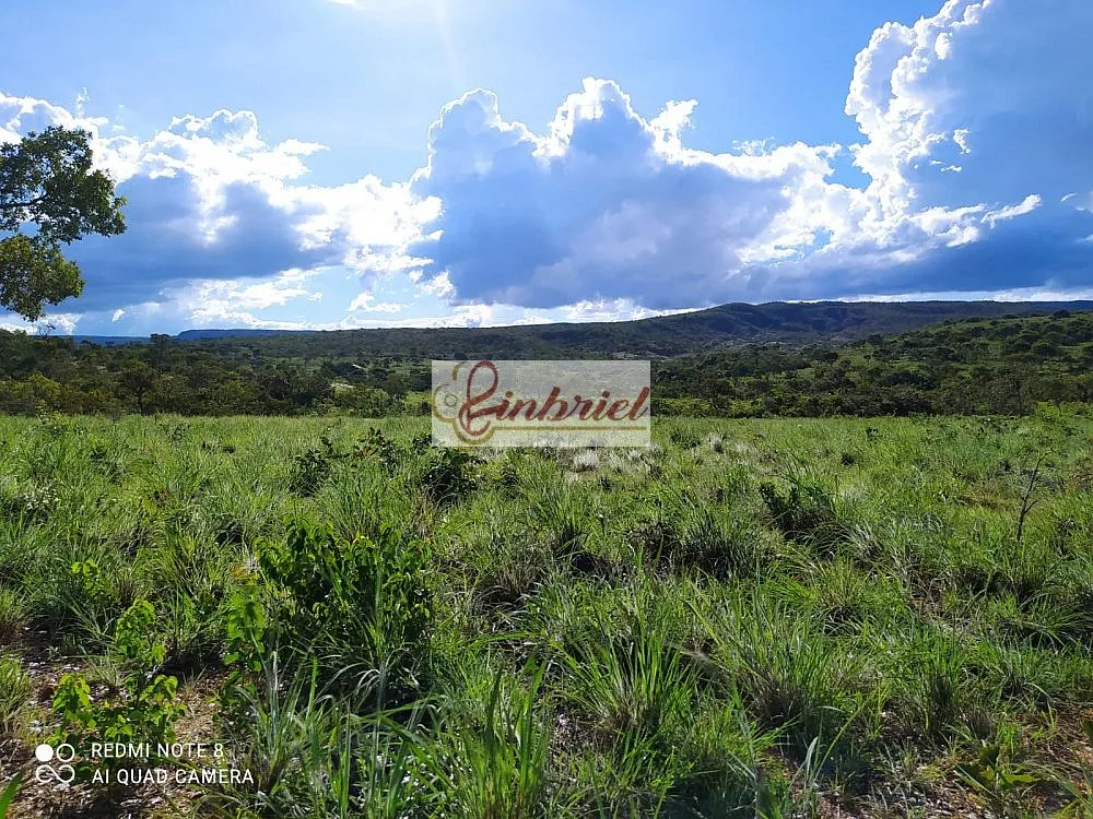 Fazenda, 242 hectares - Foto 4