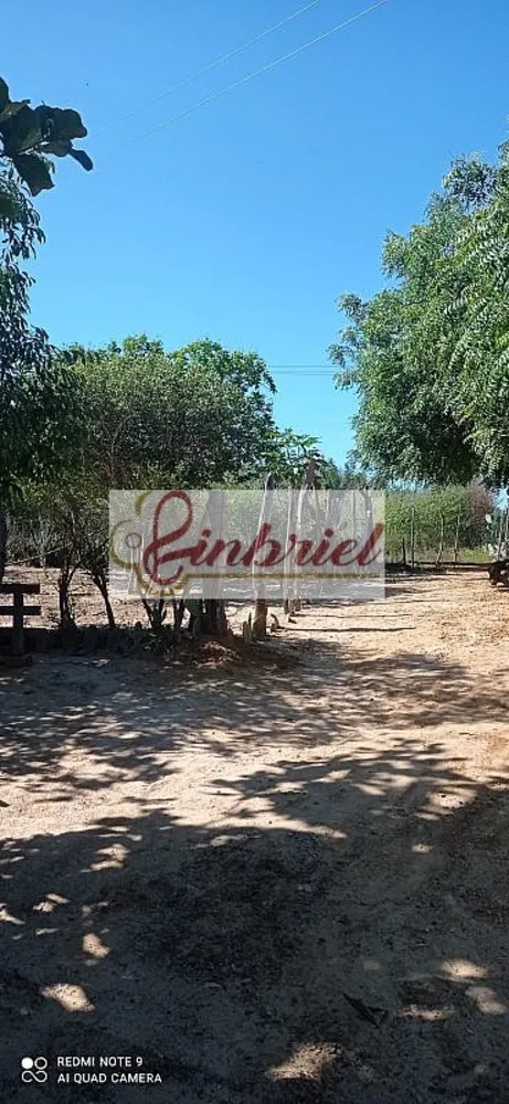 Fazenda, 125 hectares - Foto 5