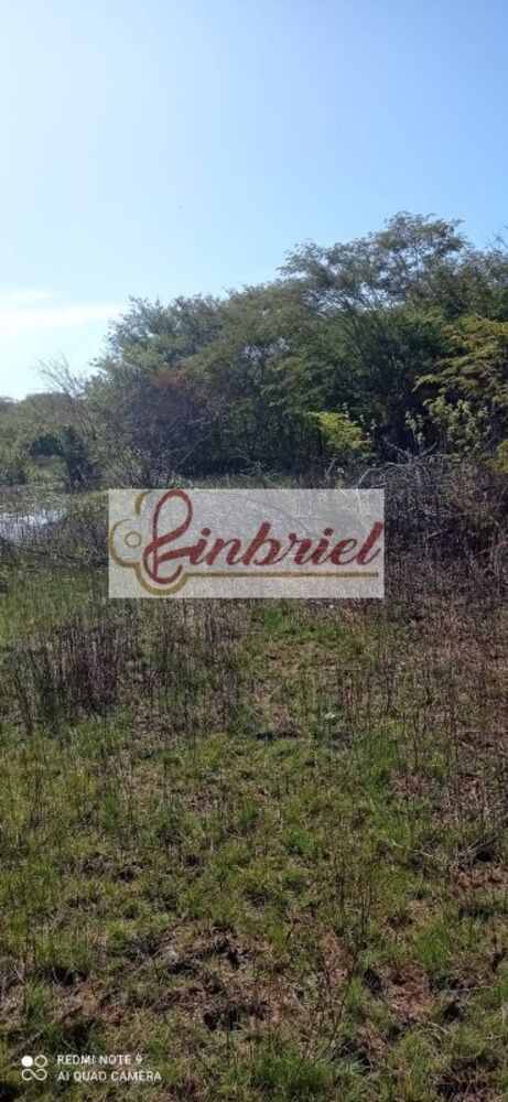 Fazenda, 125 hectares - Foto 3
