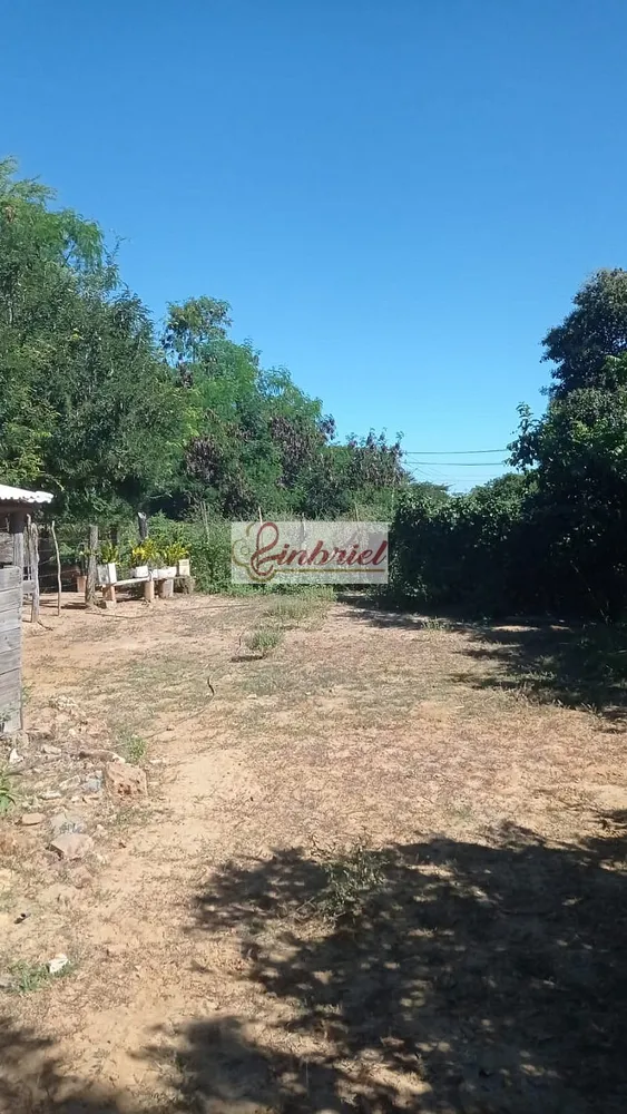 Fazenda, 125 hectares - Foto 10