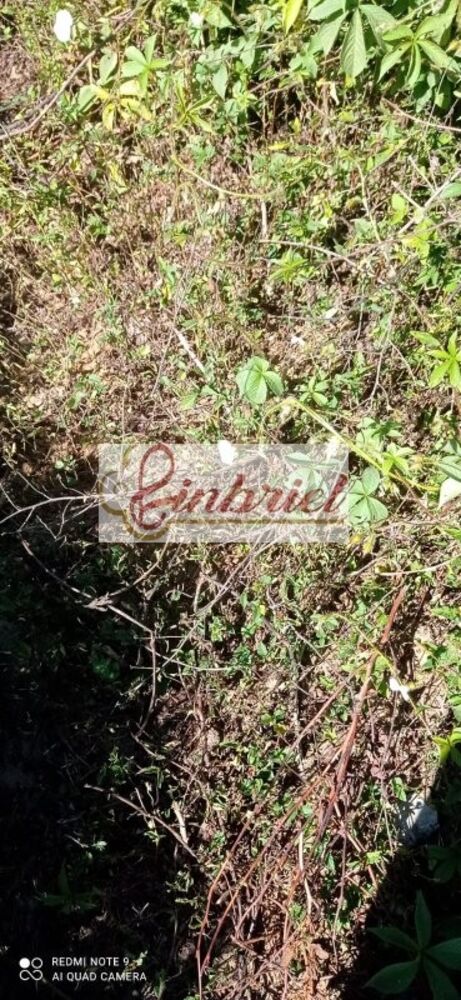 Fazenda, 125 hectares - Foto 1