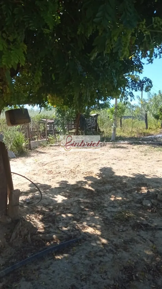 Fazenda, 125 hectares - Foto 4