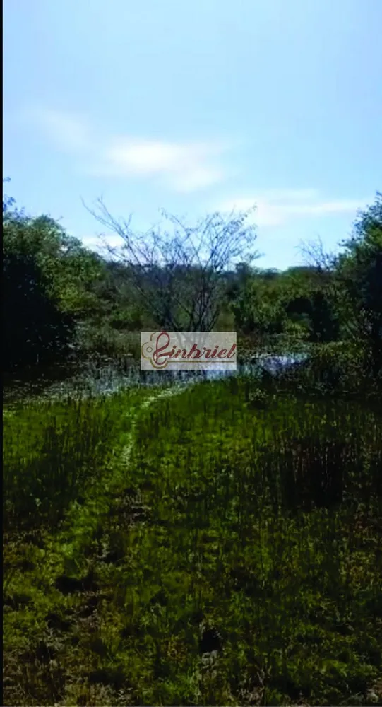 Fazenda, 125 hectares - Foto 2