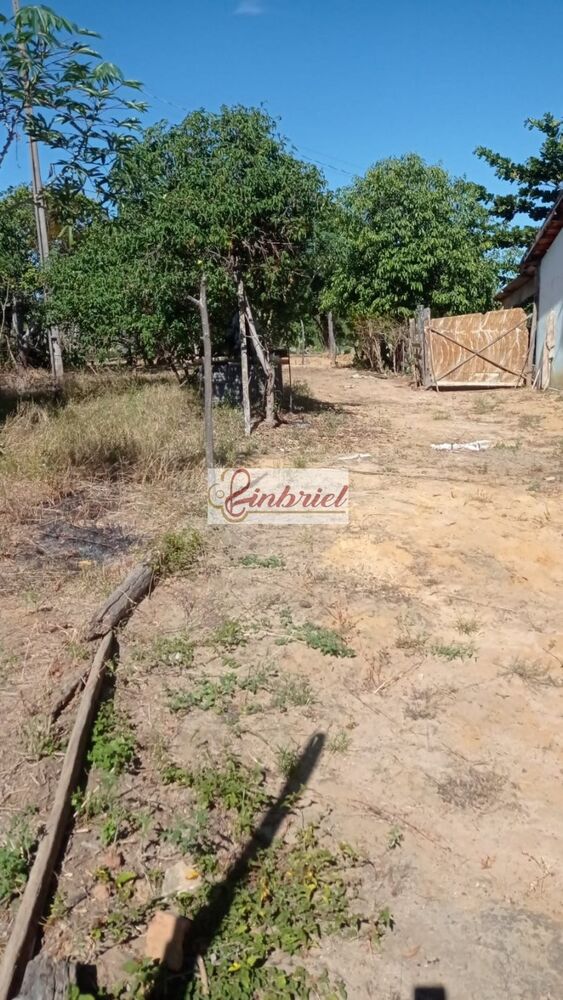 Fazenda, 125 hectares - Foto 2