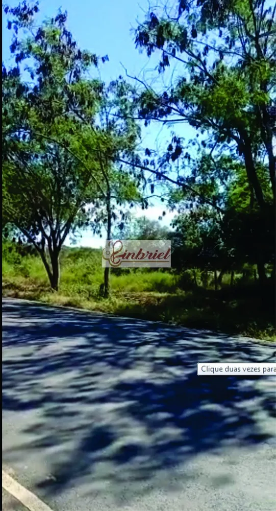 Fazenda, 125 hectares - Foto 1