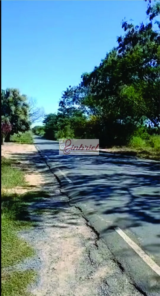 Fazenda, 125 hectares - Foto 3
