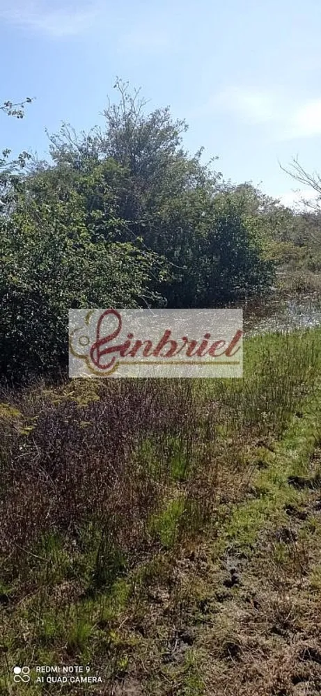 Fazenda, 125 hectares - Foto 7