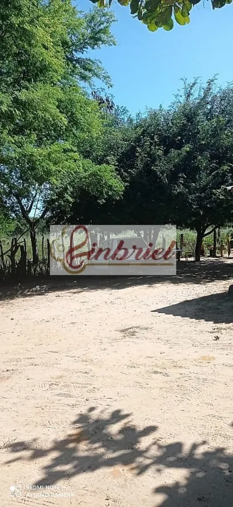 Fazenda, 125 hectares - Foto 12