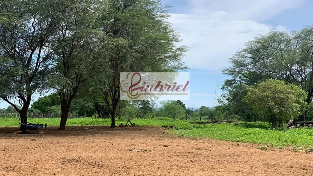 Fazenda, 2216 hectares - Foto 7