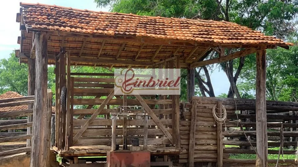 Fazenda, 2216 hectares - Foto 11