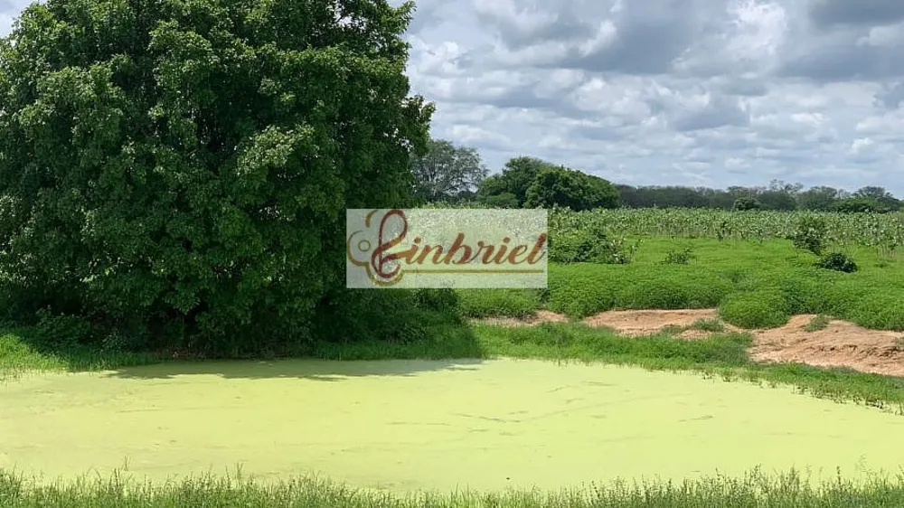 Fazenda, 2216 hectares - Foto 8