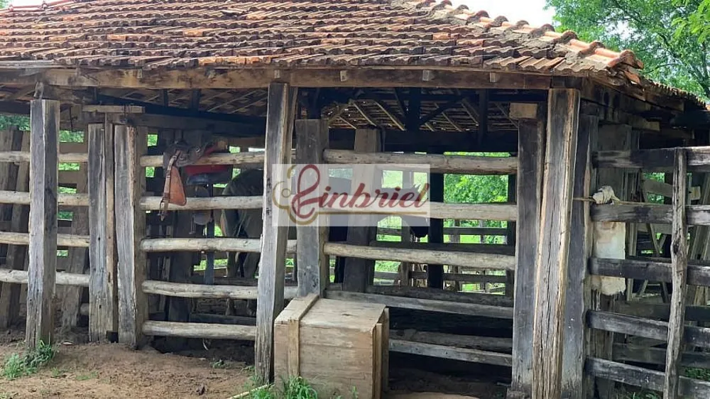 Fazenda, 2216 hectares - Foto 13