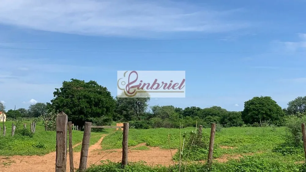 Fazenda, 2216 hectares - Foto 3