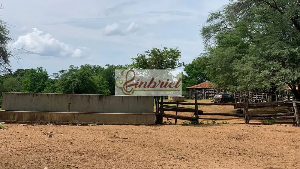 Fazenda, 2216 hectares - Foto 6