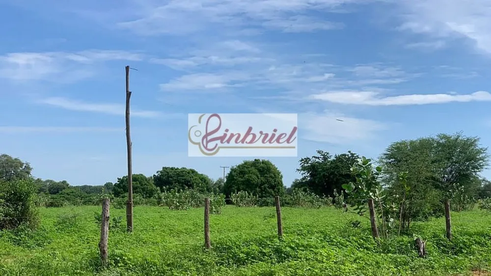 Fazenda, 2216 hectares - Foto 10
