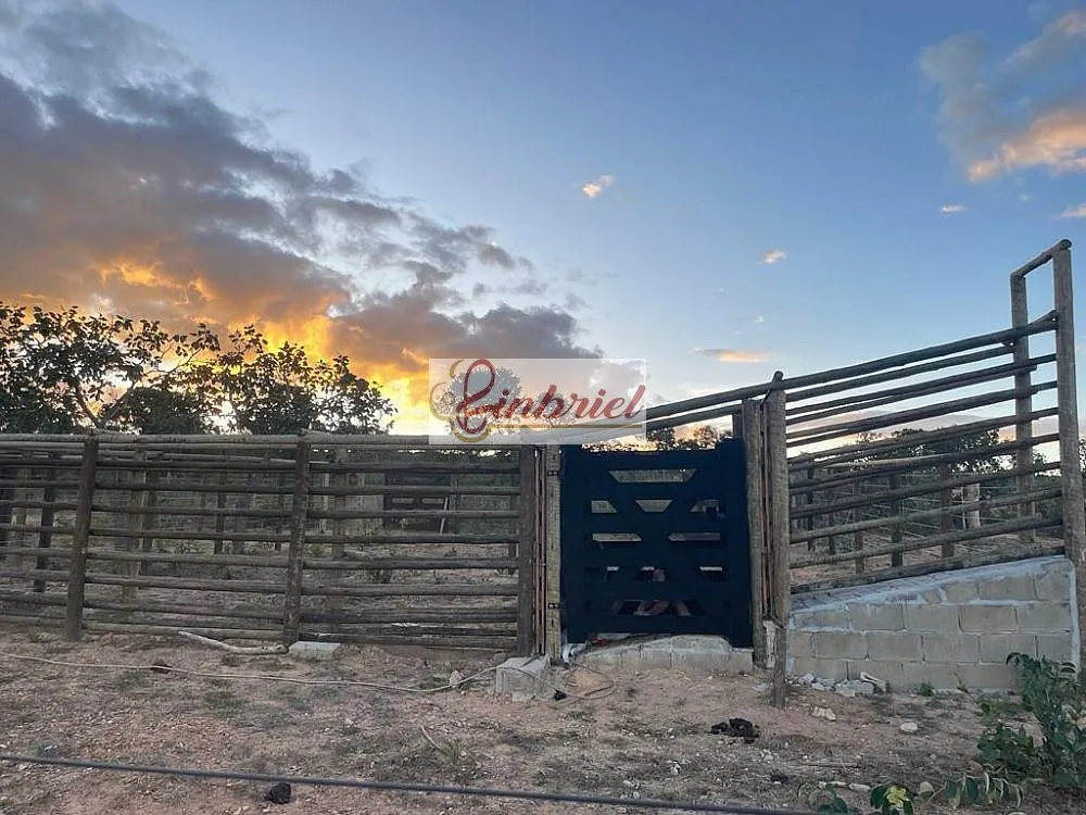 Fazenda, 195 hectares - Foto 4