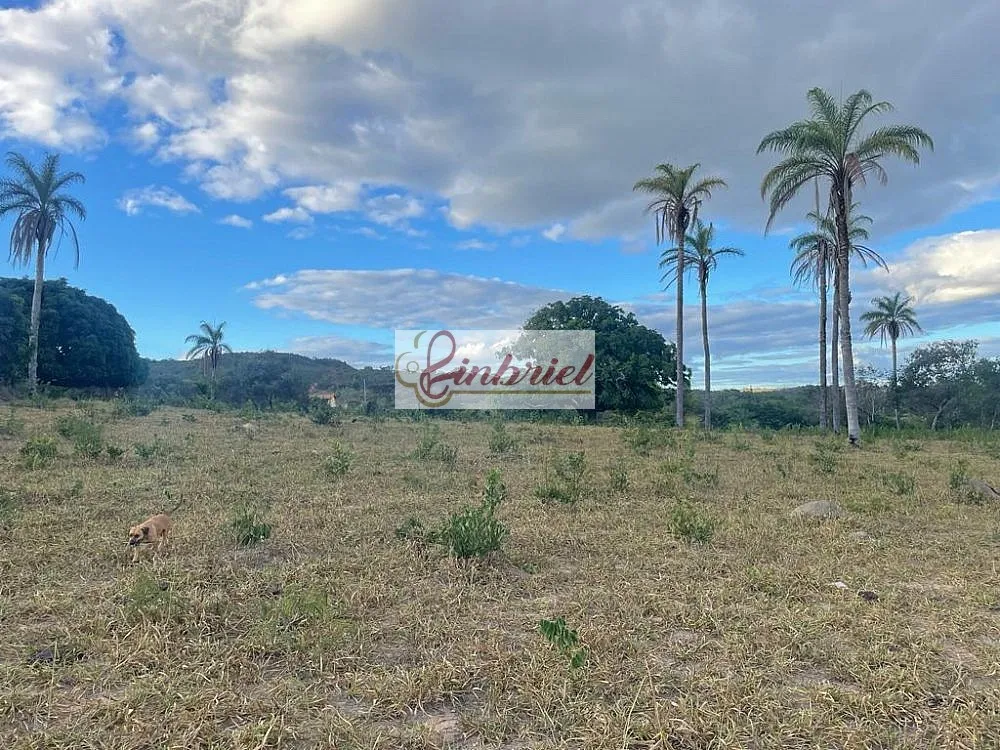 Fazenda, 195 hectares - Foto 9
