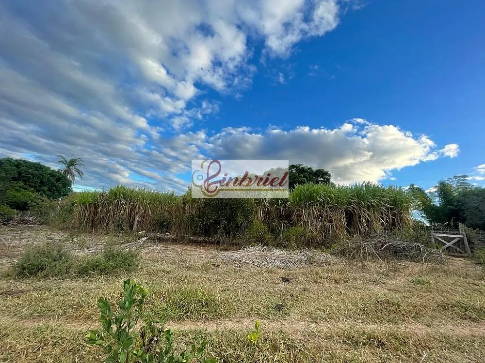 Fazenda, 195 hectares - Foto 6