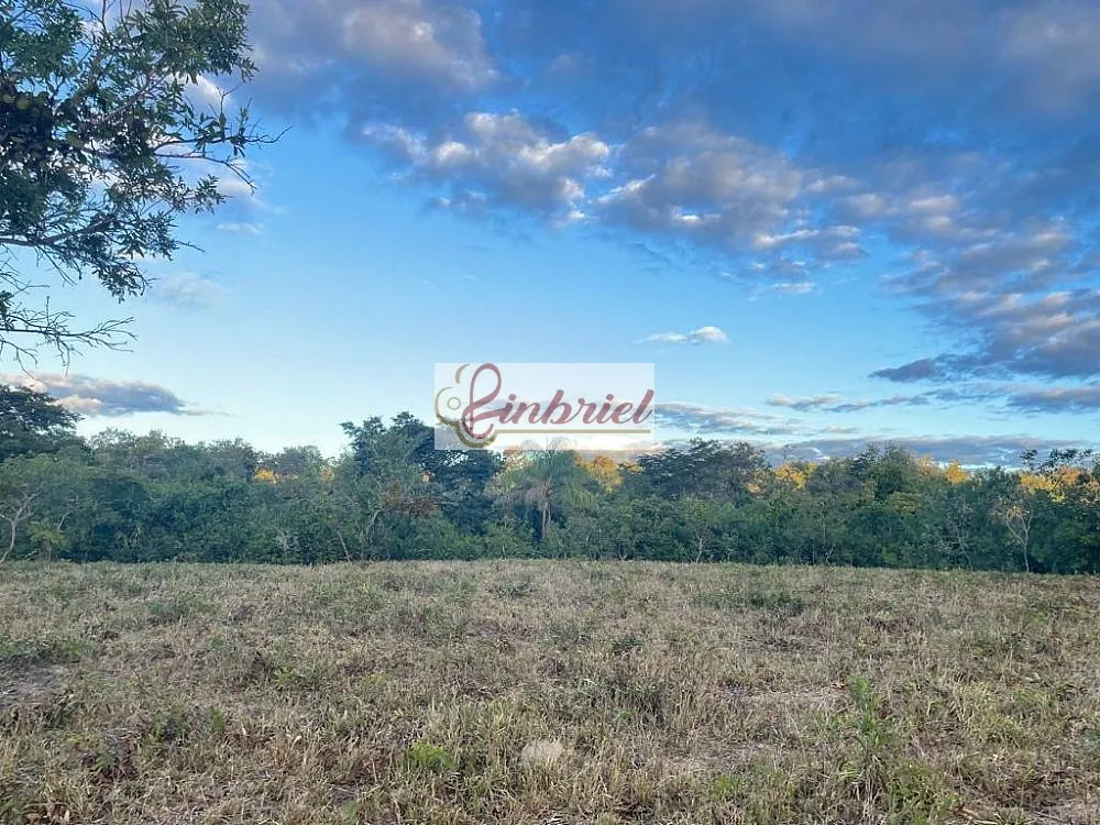 Fazenda, 195 hectares - Foto 3