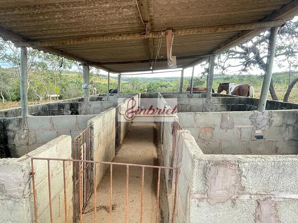 Fazenda, 195 hectares - Foto 1
