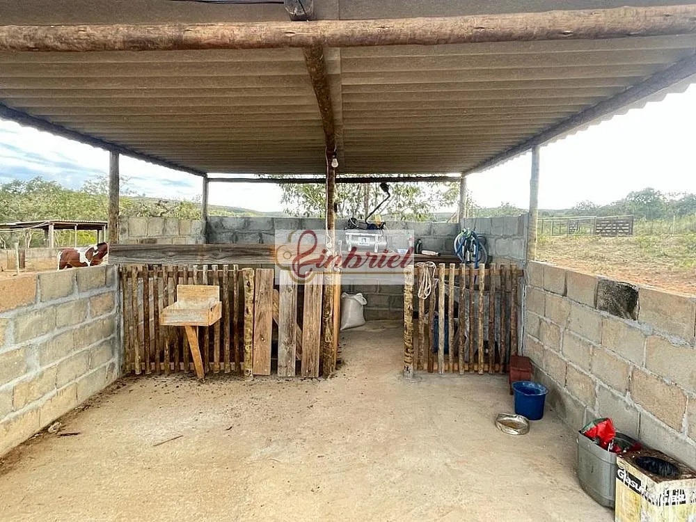 Fazenda, 195 hectares - Foto 7
