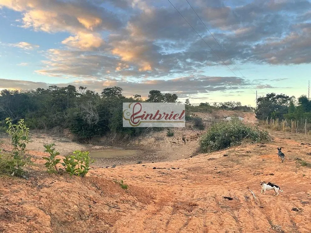 Fazenda, 195 hectares - Foto 12