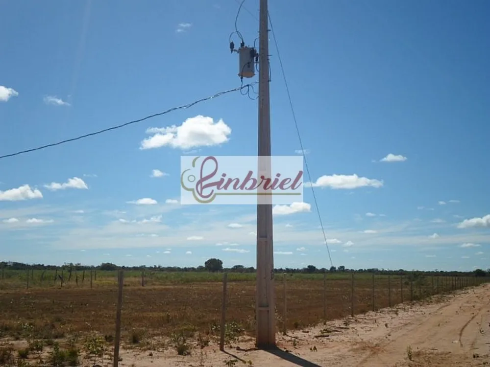 Fazenda, 28896 hectares - Foto 3