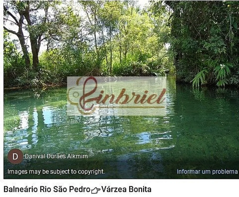 Fazenda, 28896 hectares - Foto 6
