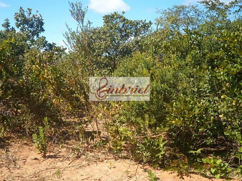 Fazenda, 28896 hectares - Foto 4