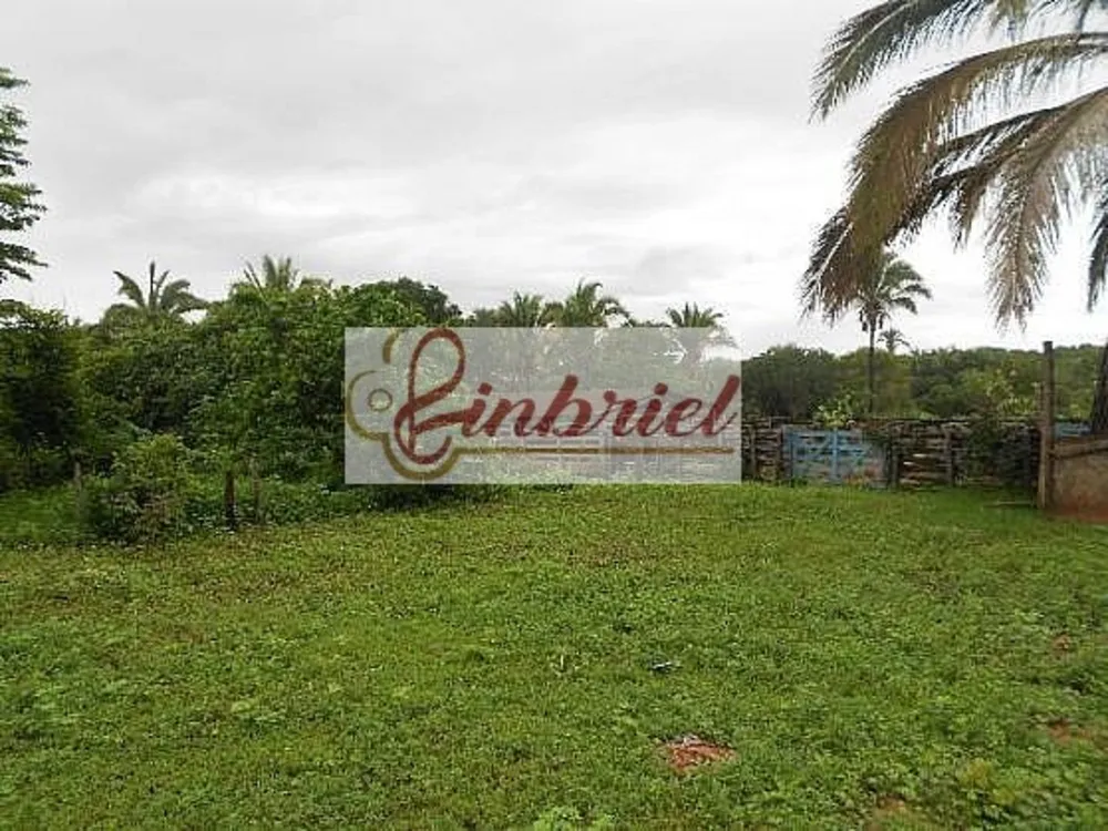 Fazenda, 552 hectares - Foto 4