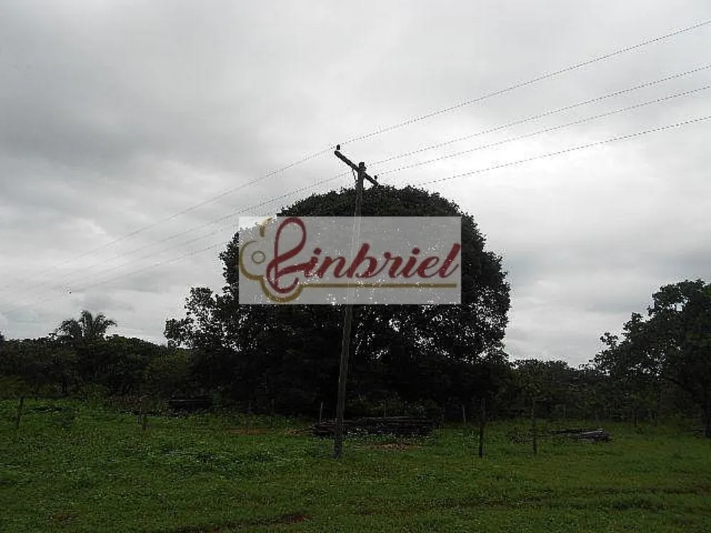 Fazenda, 552 hectares - Foto 5