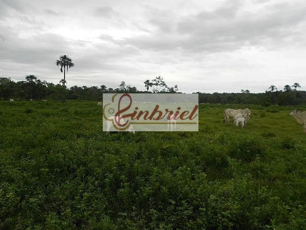 Fazenda, 552 hectares - Foto 10