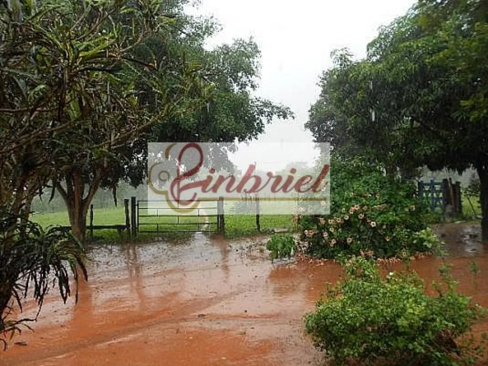 Fazenda, 552 hectares - Foto 11