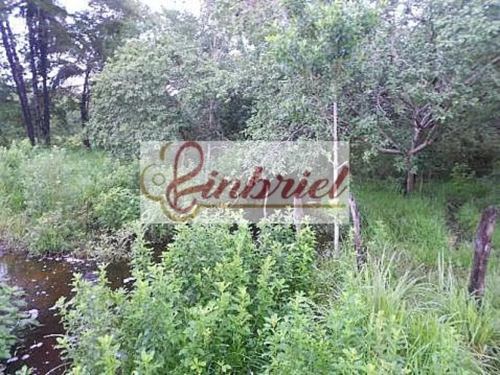 Fazenda, 552 hectares - Foto 7