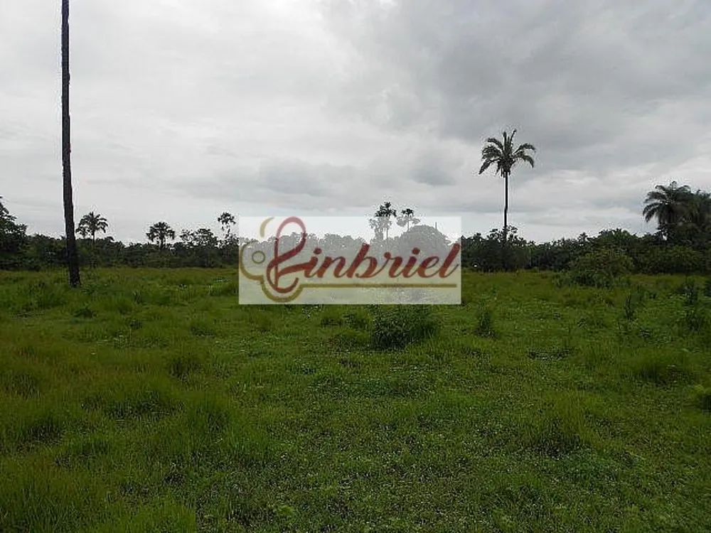 Fazenda, 552 hectares - Foto 3