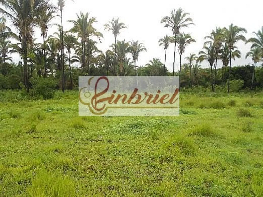 Fazenda, 552 hectares - Foto 6