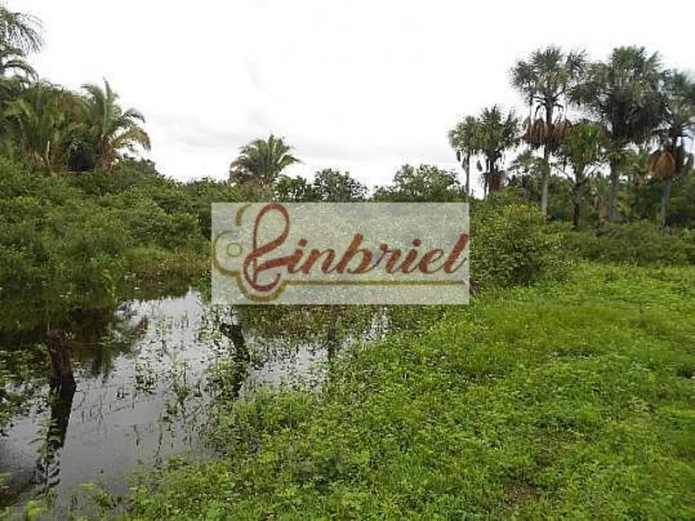 Fazenda, 552 hectares - Foto 2