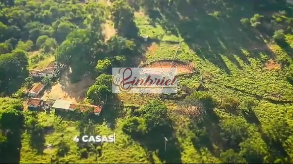 Fazenda, 923 hectares - Foto 6