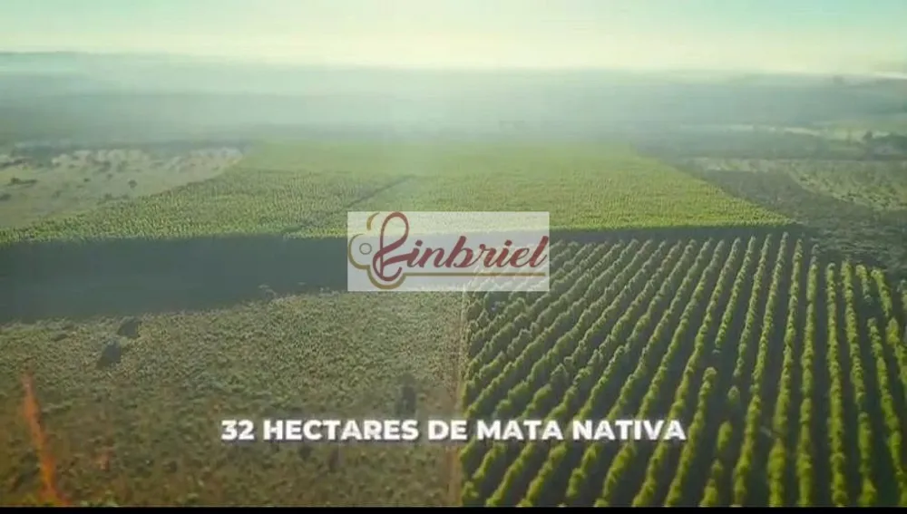 Fazenda, 923 hectares - Foto 5