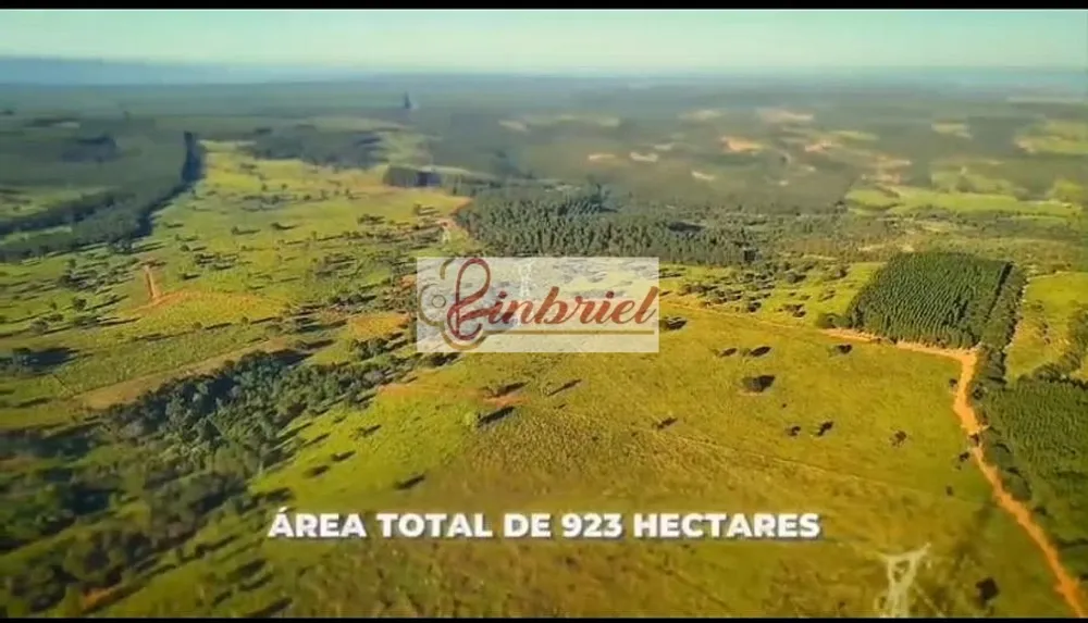 Fazenda, 923 hectares - Foto 3
