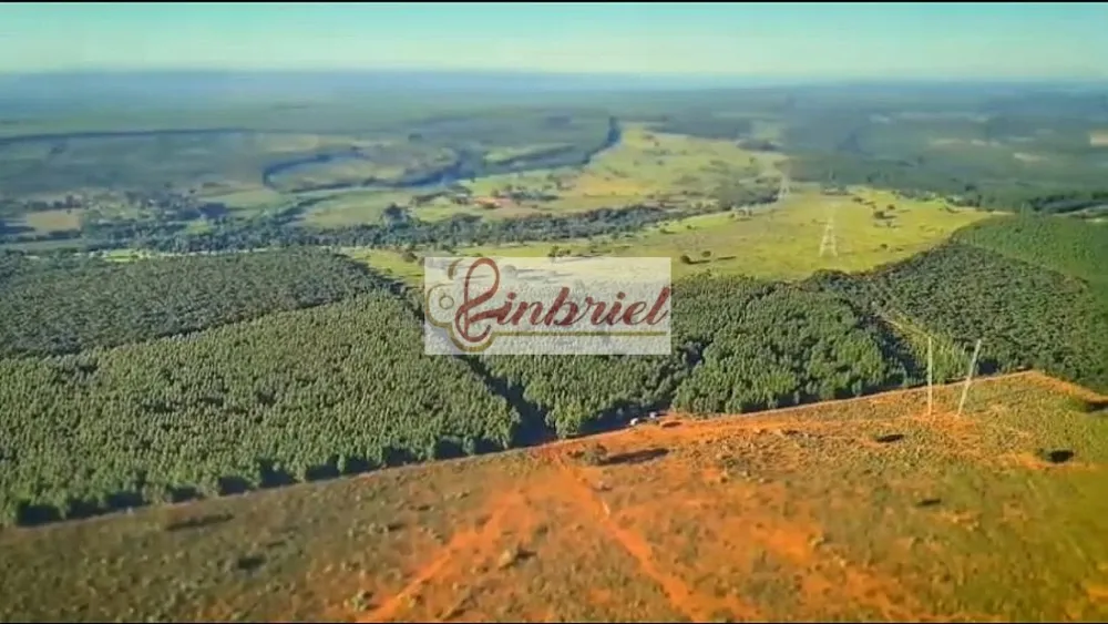 Fazenda, 923 hectares - Foto 4