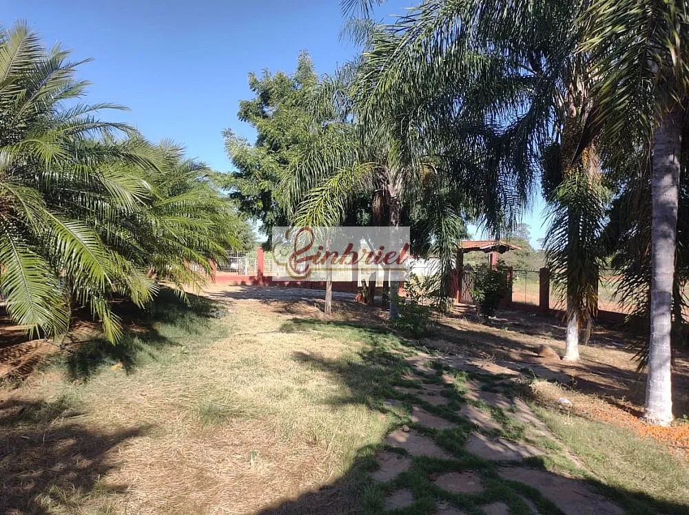 Fazenda, 470 hectares - Foto 3